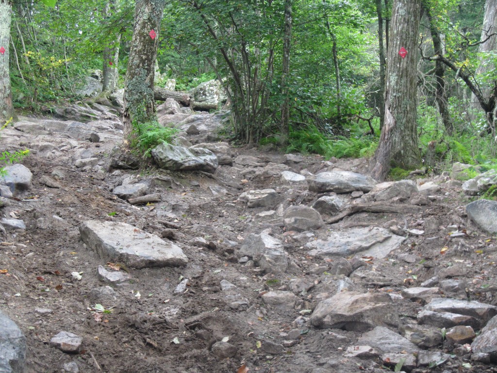 Potts Mountain Jeep Trail Capital Off Road Enthusiasts, Inc.